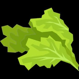 Lettuce